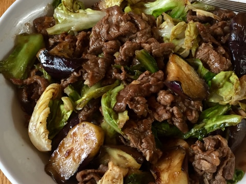 牛肉と茄子のバルサミコ酢炒め